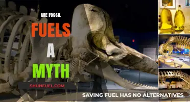 Fossil Fuels: Myth or Reality?