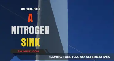 Fossil Fuels: Nitrogen Sinks or Environmental Risk?
