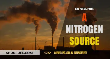 Fossil Fuels: A Surprising Source of Nitrogen?