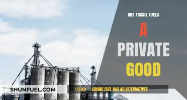 Fossil Fuels: Private Good or Public Bad?