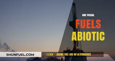 The Myth of Abiotic Fossil Fuels: Exploring the Truth