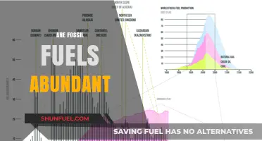 The Myth of Abundant Fossil Fuels: Exploring the Reality