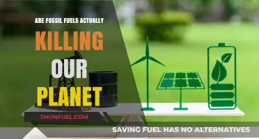 Fossil Fuels: Killing Our Planet?