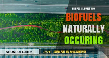Fossil Fuels vs Biofuels: What's Natural?