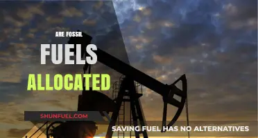The Future of Fossil Fuels: An Allocation Crisis