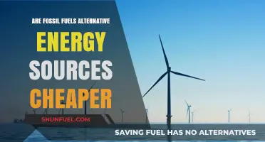 Fossil Fuels vs. Alternative Energy: The Cost Debate