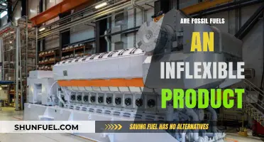 Fossil Fuels: Inflexible Energy Sources for a Dynamic World