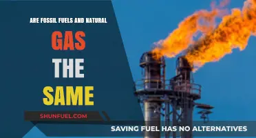 Fossil Fuels and Natural Gas: What's the Difference?