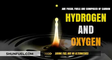 Fossil Fuels: Carbon, Hydrogen, and Oxygen Composition