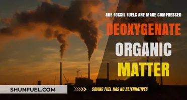 How Fossil Fuels Are Created