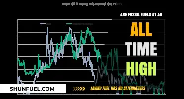 Fossil Fuels: All-Time Highs and Our Future