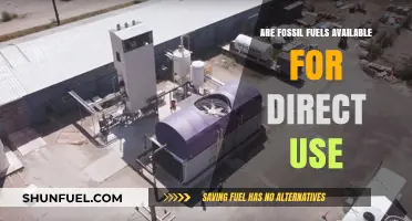 Fossil Fuels: Direct Use and Availability