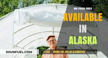 Fossil Fuels in Alaska: What's Available?