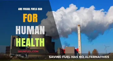 Fossil Fuels: Harming Human Health and the Environment