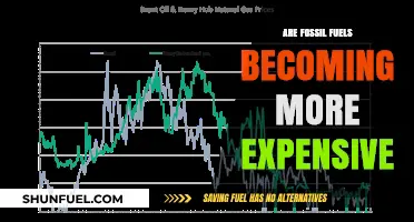 The Rising Cost of Fossil Fuels: Why It Matters