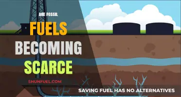 The Looming Fossil Fuel Crisis: Running on Empty