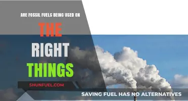 Fossil Fuels: Are We Using Them Wisely?