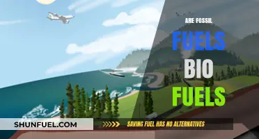 Fossil Fuels vs Biofuels: What's the Difference?