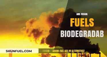 Fossil Fuels: Biodegradable or Not?