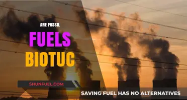 Fossil Fuels: Ancient Bio Sources?