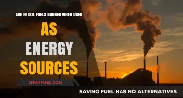 Fossil Fuels: Energy Sources and Their Burning Question