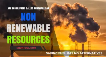 Fossil Fuels: Non-Renewable Energy Sources