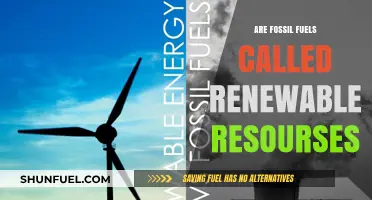 Fossil Fuels: Renewable or Not?