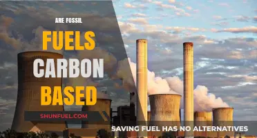 Fossil Fuels: Carbon-Based Energy Sources
