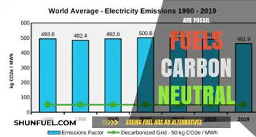 Fossil Fuels: Carbon-Neutral or Climate Disaster?
