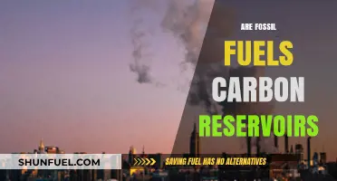 Fossil Fuels: Carbon Reservoirs or Energy Sources?