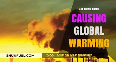 Fossil Fuels: Global Warming's Main Culprit?