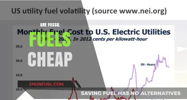 Fossil Fuels: Costly Energy Sources?