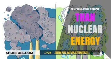 Fossil Fuels vs Nuclear Energy: The Cost Battle
