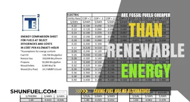 Fossil Fuels vs. Renewable Energy: The Cost Battle