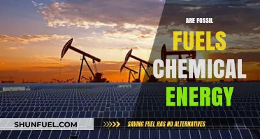 Fossil Fuels: Energy Stored in Chemical Bonds