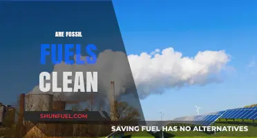 Fossil Fuels: Clean or Contaminated?