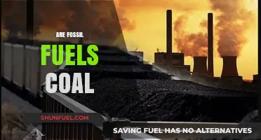 Fossil Fuels: Coal's Dark Legacy