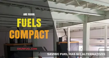 The Density of Fossil Fuels: Compact Energy Sources
