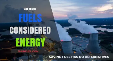 Fossil Fuels: Energy Sources or Environmental Hazards?