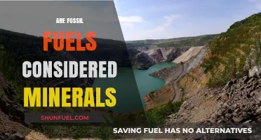 Fossil Fuels: Minerals or Not?