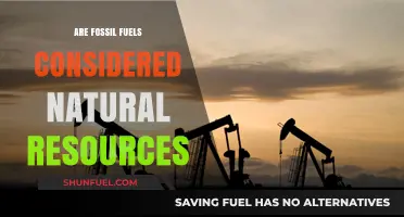 Fossil Fuels: Natural Resources or Environmental Disaster?