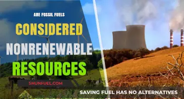 Fossil Fuels: Our Nonrenewable Energy Future
