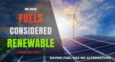 Fossil Fuels: Renewable or Not?
