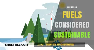 Fossil Fuels: Sustainable or Not?