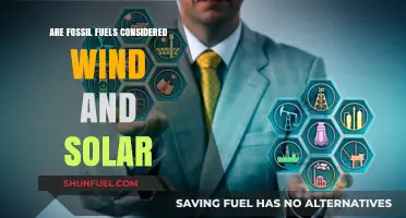Fossil Fuels: The Opposite of Wind and Solar