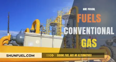 Fossil Fuels: Conventional Gas or Not?