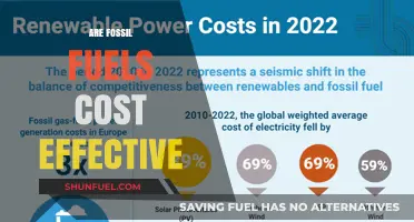 Fossil Fuels: Cost-Effective or Costly?