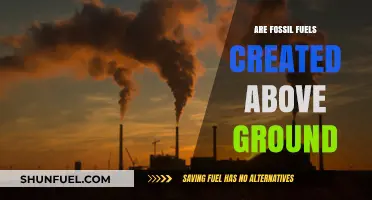 The Origin of Fossil Fuels: Underground or Above?
