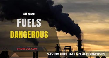 Fossil Fuels: A Dangerous Climate Change Reality