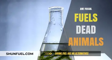 Fossil Fuels: Energy From Dead Dinosaurs?
